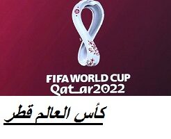 وظائف مونديال قطر ( كأس العالم قطر FIFA 2022 ) في قطر