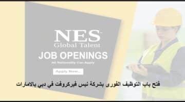 وظائف عاجلة فى شركة نيس فيركروفت في دبي لجميع الجنسيات