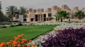 وظائف جامعة قطر 2023 ( برواتب تصل 45,000 ريال قطري ) لجميع الجنسيات