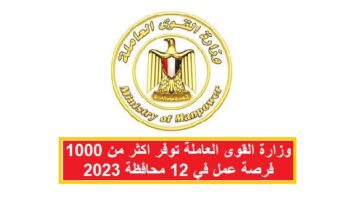 وزارة القوى العاملة توفر اكثر من 1000 فرصة عمل في 12 محافظة 2023