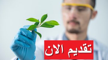 وظائف طبية بالكويت لجميع الجنسيات برواتب مجزية 2023