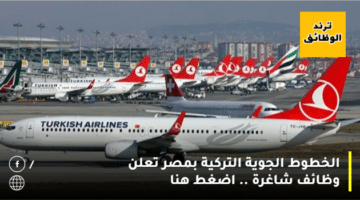 الخطوط الجوية التركية بمصر تعلن وظائف شاغرة .. اضغط هنا