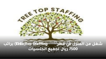 شغل من المنزل في قطر (Tree Top Staffing LLC) براتب 7500 ريال لجميع الجنسيات