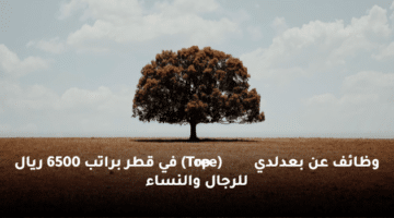 وظائف عن بعدلدي  (Tree Top) في قطر  براتب 6500 ريال للرجال والنساء