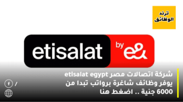 شركة اتصالات مصر etisalat egypt يوفر وظائف شاغرة برواتب تبدا من 6000 جنية .. اضغط هنا