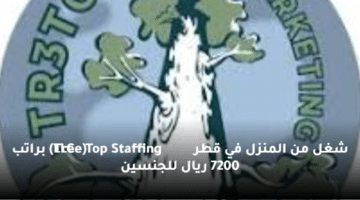 شغل من  المنزل في قطر  (Tree Top Staffing LLC) براتب 7200 ريال للجنسين