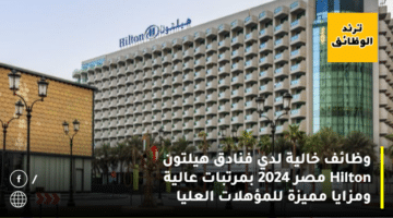 وظائف خالية لدي فنادق هيلتون Hilton مصر 2024 بمرتبات عالية ومزايا مميزة للمؤهلات العليا