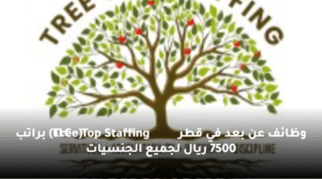 وظائف عن بعد في قطر  (Tree Top Staffing LLC) براتب 7500 ريال لجميع الجنسيات