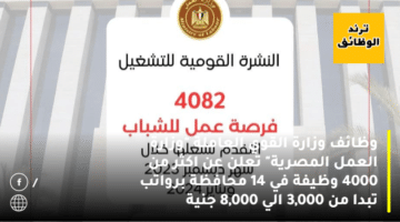 وظائف وزارة القوي العاملة “وزارة العمل المصرية” تعلن عن اكثر من 4000 وظيفة في 14 محافظة برواتب تبدا من 3,000 الي 8,000 جنية