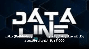 وظائف مطلوبة  في قطر (DataLine Technology) براتب 11000 ريال للرجال والنساء
