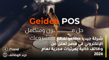 شركة جيديا geidea للدفع الإلكتروني في مصر تعلن عن وظائف خالية بمرتبات مجزية لعام 2024