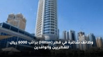 وظائف شاغرة في قطر  (Hilton)  براتب 6000 ريال للقطريين والوافدين