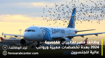 وظائف مصر للطيران EgyptAir 2024 بعدة تخصصات مميزة ورواتب عالية للجنسيين