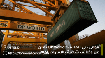 موانئ دبي العالمية DP World تعلن عن وظائف شاغرة بالامارات 2024